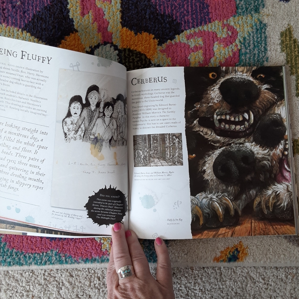 Harry Potter A Journey Through A History of Magic - Picture 4 of 7